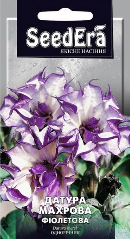 картинка Семена датура махровая фиолетовая 5 шт, Seedera 