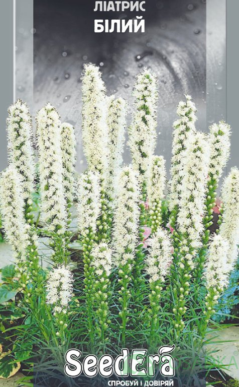 картинка Лиатрис Белый многолетний семена (0.2гр) 