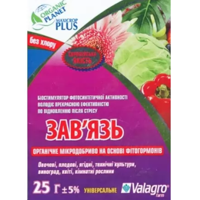 SGR0330インパラ1kg+硬化剤+FCS29°セット Максикроп завязь, 25 мл, Valagro купить в Украине