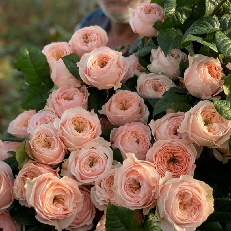 c5loky5sg6wtzi651zs0adgi8ck1je