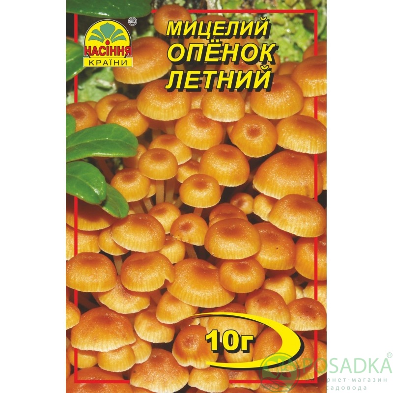картинка Мицелий зерновой гриб Опёнок летний 10 г 
