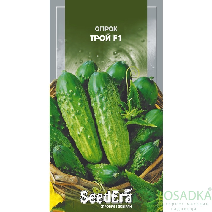 картинка Семена Огурец Трой F1, 0,5г, Seedera 