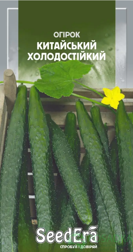 картинка Семена Огурец Китайский холодостойкий 10шт, SeedEra 