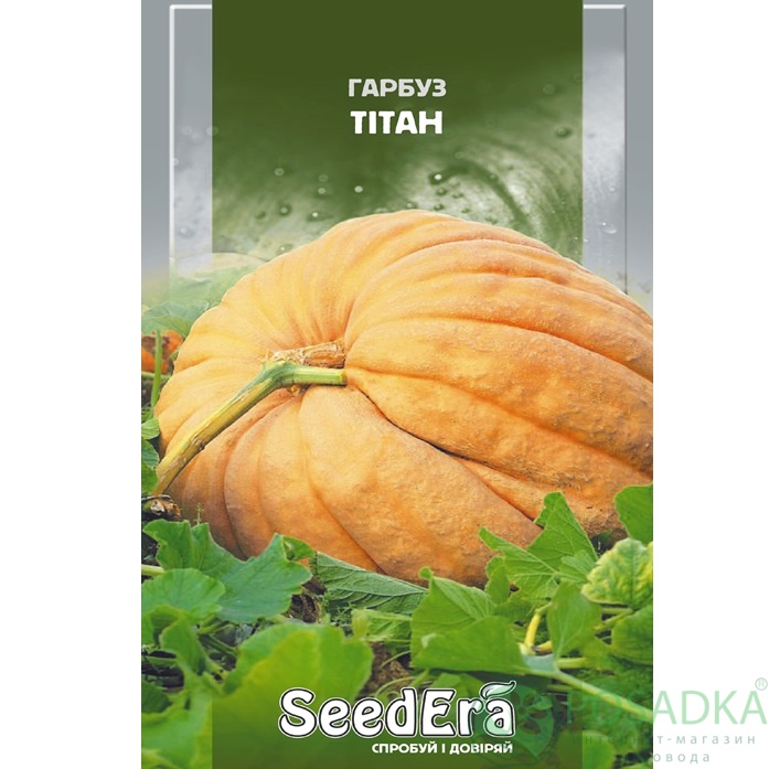 картинка Семена Тыква Титан  20 г, Seedera 