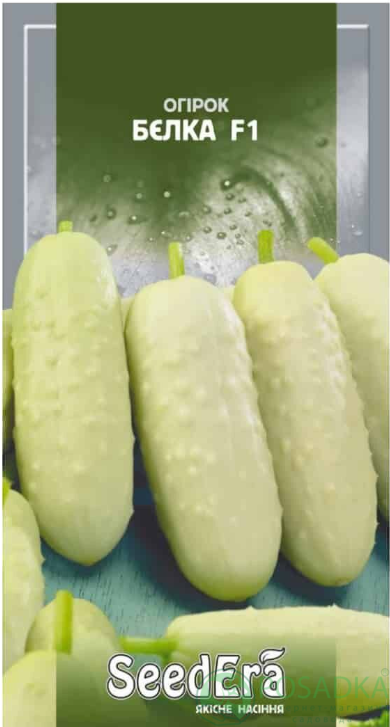 картинка Семена Огурец Белка F1 10шт, SeedEra 