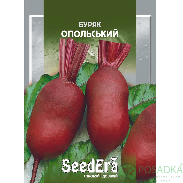 картинка Семена свекла Столовая Опольская 20 г, SeedEra картинка Семена свекла Столовая Опольская 20 г, SeedEra
