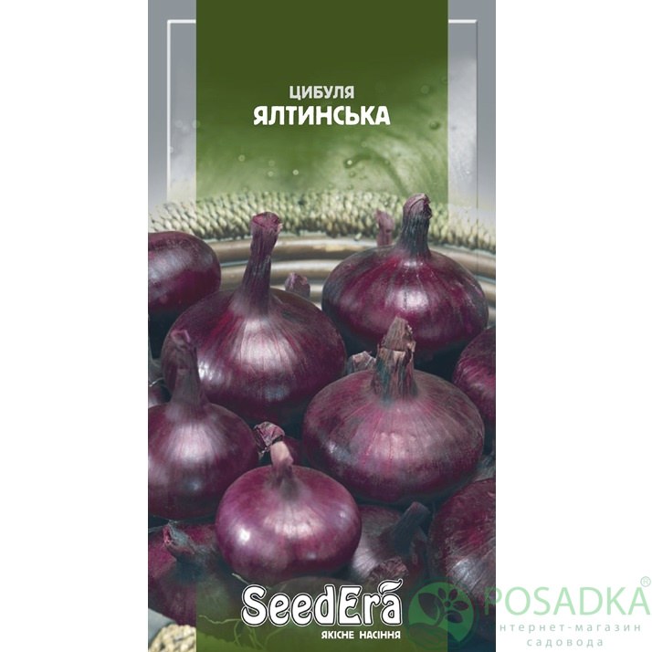 картинка Семена Лук красный Ялтинский, 2гр, SeedEra 