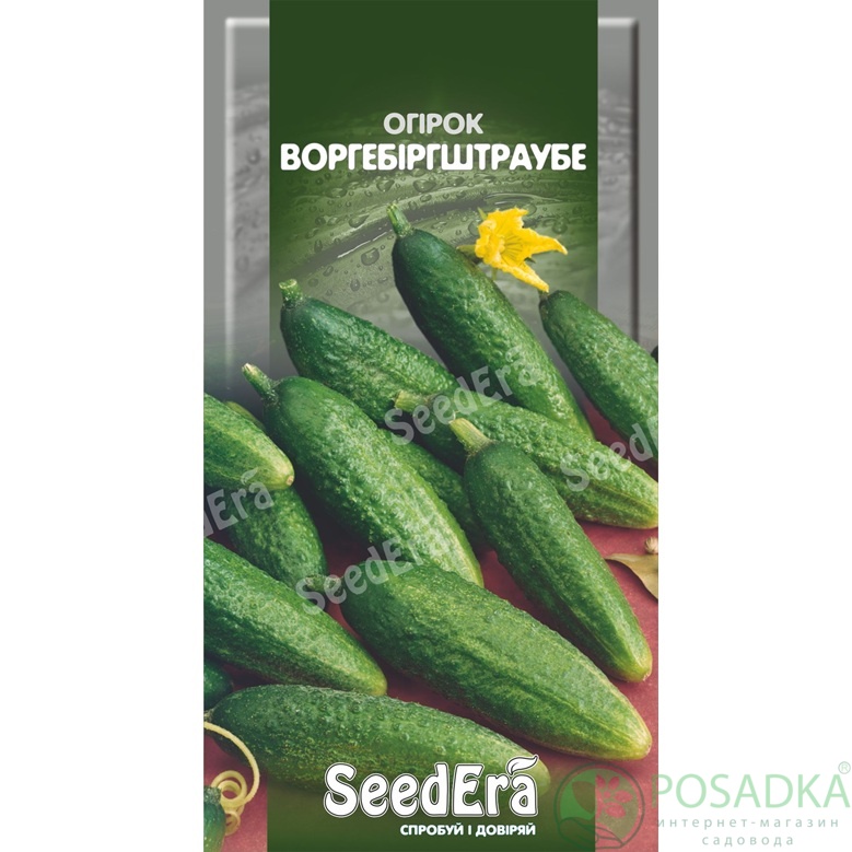 картинка Семена Огурец Воргебиргштраубе, 5 г, Seedera 