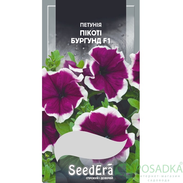 картинка Семена Петуния Крупноцветковая Низкорослая Пикоти Бургунд F1, 10шт, Seedera  картинка Семена Петуния Крупноцветковая Низкорослая Пикоти Бургунд F1, 10шт, Seedera