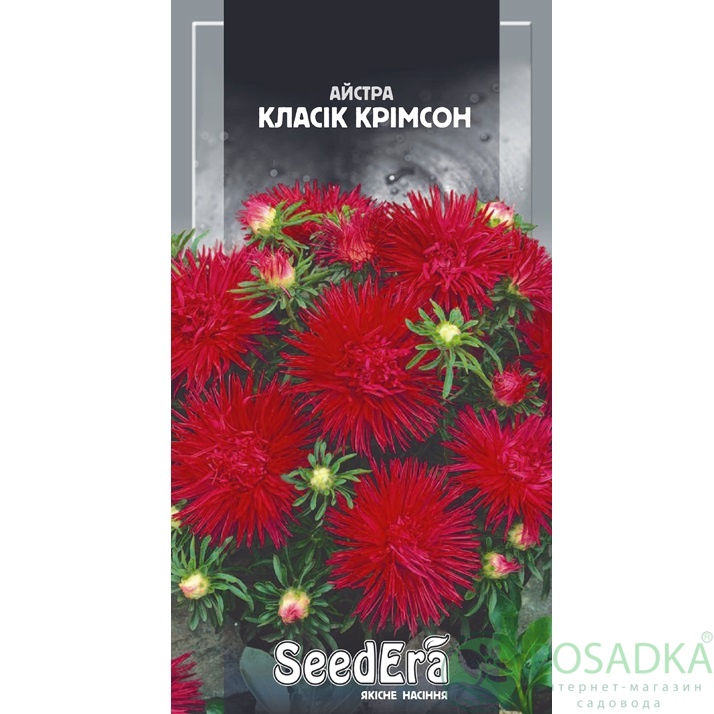 картинка Семена астра Низкорослая Классик Кримсон 0.25г, SeedEra 
