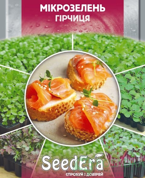 картинка Семена Микрозелень Горчица 10гр, SeedEra 
