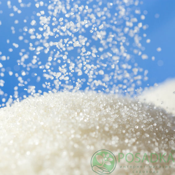 картинка Гидрогель для растений, мелкая фракция, 100 гр картинка Гидрогель для растений, мелкая фракция, 100 гр