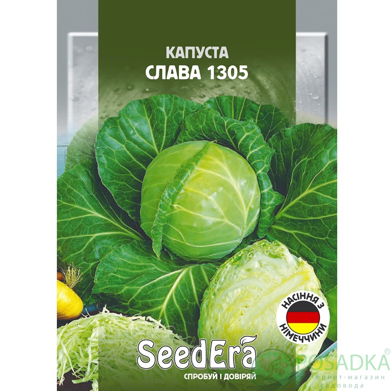 картинка Семена Капуста Белоголовая Слава 1305, 25 г, Seedera 