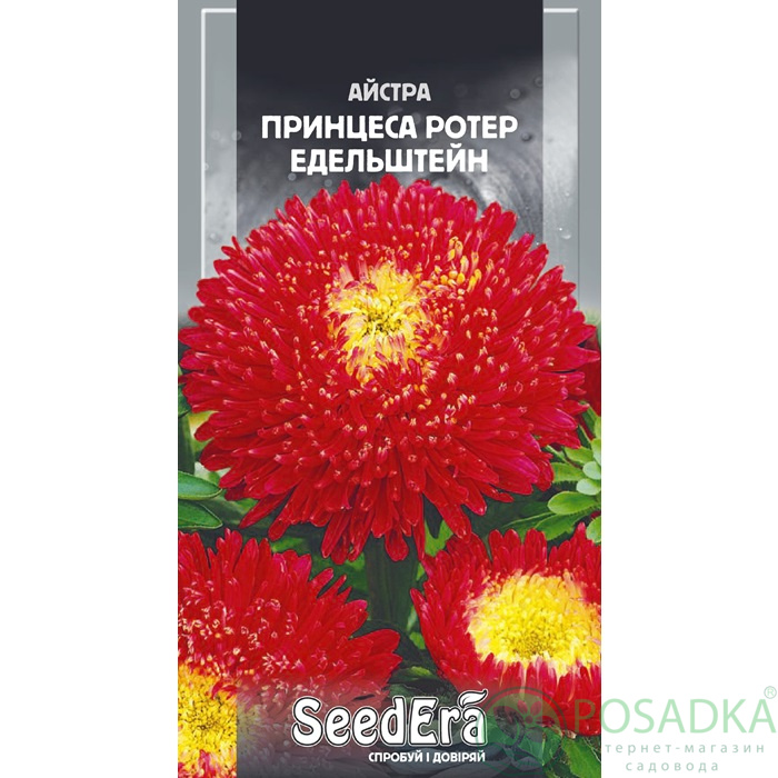 картинка Семена Астра Высокорослая Принцесса Ротер Эдельштейн 0.25 гр, SeedEra картинка Семена Астра Высокорослая Принцесса Ротер Эдельштейн 0.25 гр, SeedEra