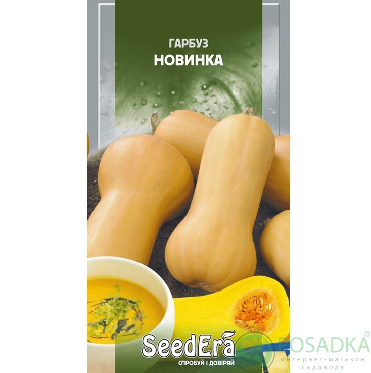 картинка Семена Тыква Новинка 20 г, Seedera 