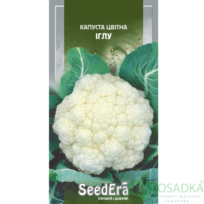 картинка Семена Капуста брокколи Иглу, 30 шт, Seedera 