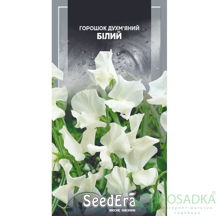 картинка Семена горошек Душистый Белый 1г, SeedEra 