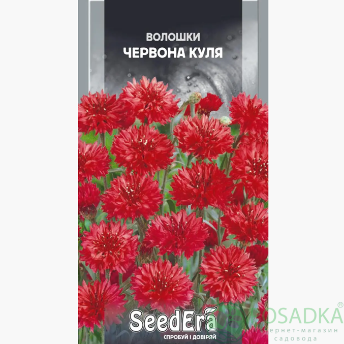 картинка Семена Василек махровый Красный шар 0,5 г, Seedera 