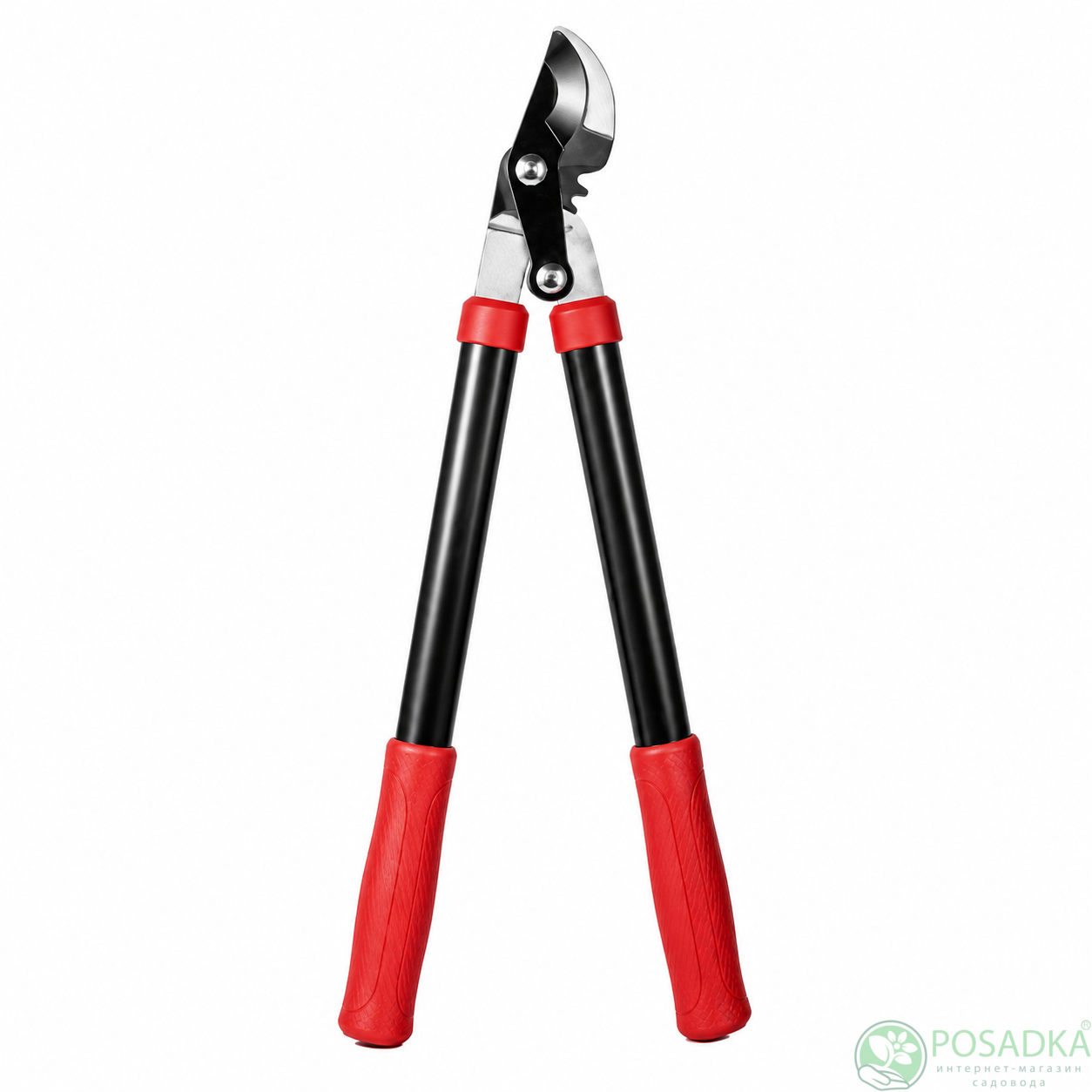 картинка Сучкорез садовый для обрезки веток P 6598 