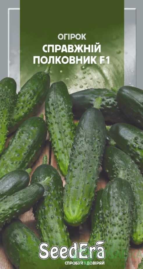 картинка Семена Огурец Настоящий Полковник F1 10шт, SeedEra 