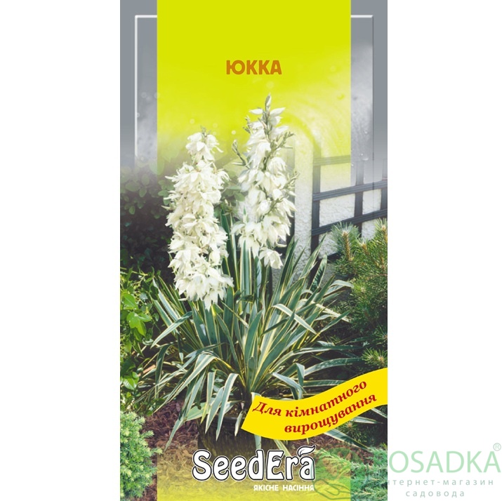 картинка Семена Юкка 0,1 г, Seedera 