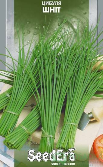 картинка Семена Лук Шнитт, 1гр, SeedEra 