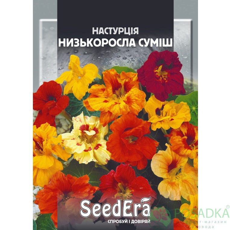 картинка Семена Настурция Культурная Низкорослая Смесь 1,5 г, Seedera 