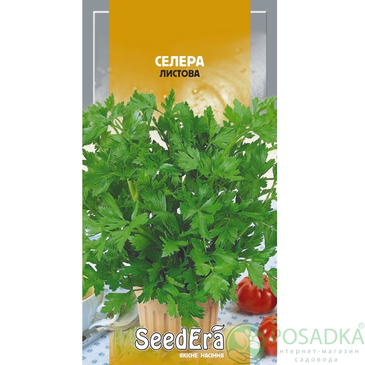 картинка Семена Сельдерей Листовой 0,2 г, Seedera картинка Семена Сельдерей Листовой 0,2 г, Seedera