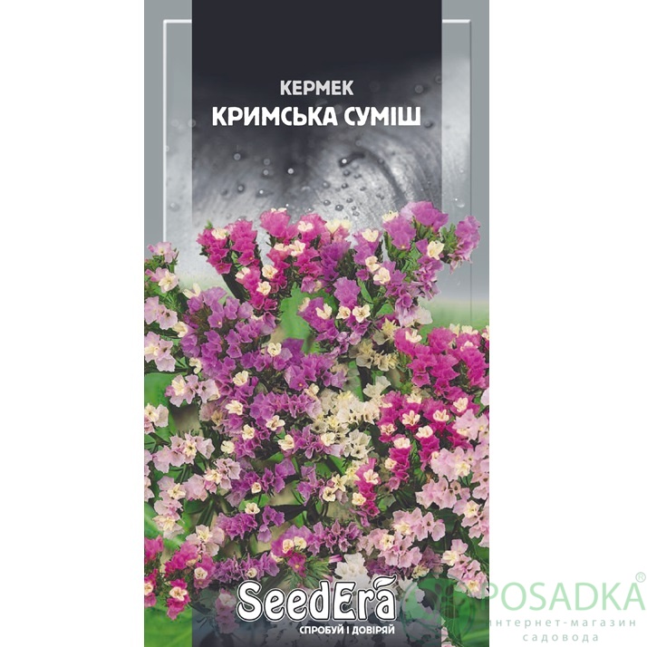 картинка Семена кермек Выемчатый Крымская Смесь 0,2г, SeedEra картинка Семена кермек Выемчатый Крымская Смесь 0,2г, SeedEra