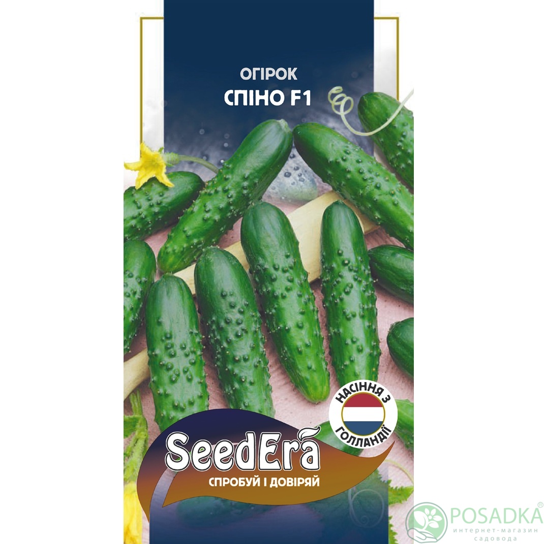 картинка Семена Огурец Спино F1, 10 шт, Seedera Profi 
