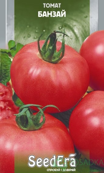 картинка Семена Томат Банзай 0.1гр, SeedEra 