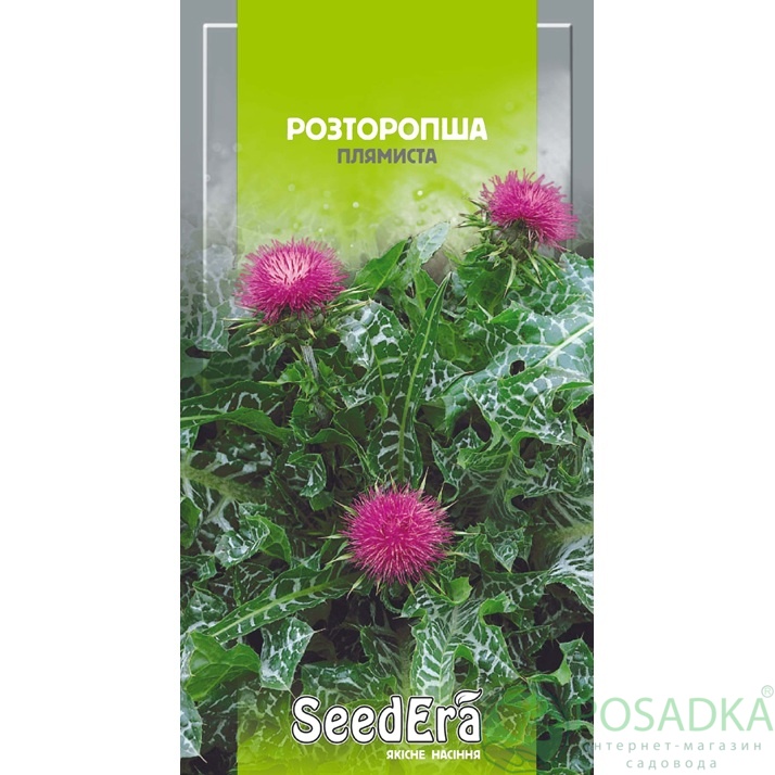 картинка Семена Лекарственная культура Расторопша пятнистая 1 г, Seedera 