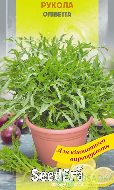 картинка Руккола комнатная Оливетта семена (0.3гр) 