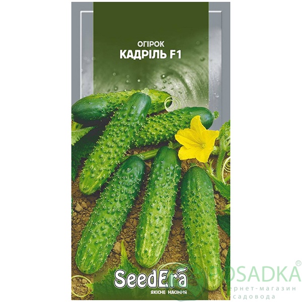 картинка Семена Огурец Кадриль F1 10 шт, SeedEra 