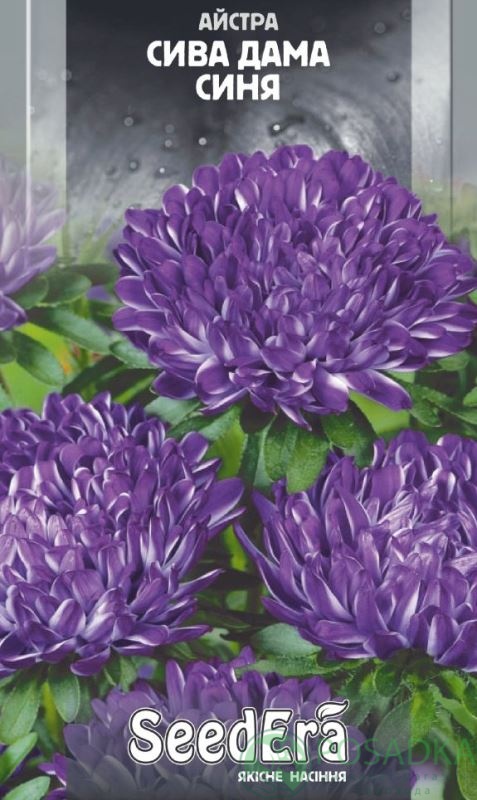 картинка Астра Пионовидна Седая Дама синяя семена 0.25 г, SeedEra 
