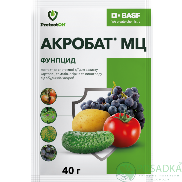 картинка Фунгицид Акробат 40г Basf 