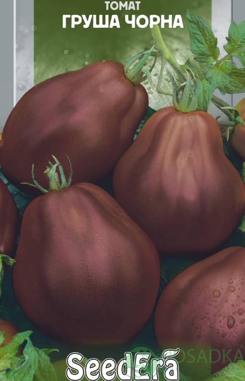 картинка Семена Томат Груша черная 0.1гр, SeedEra 