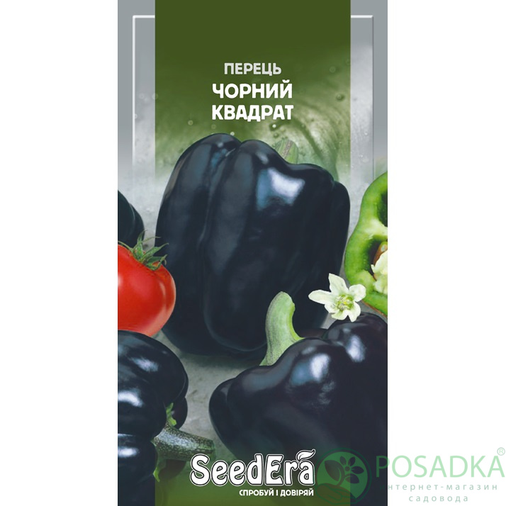 картинка Семена Перець Солодкий Чорний Квадрат 0,2 г, Seedera картинка Семена Перець Солодкий Чорний Квадрат 0,2 г, Seedera