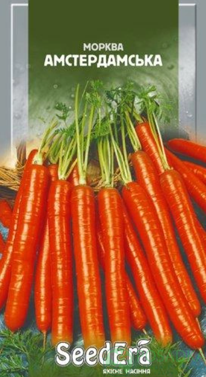 картинка Семена морковь столовая Амстердамская 2 г, SeedEra 