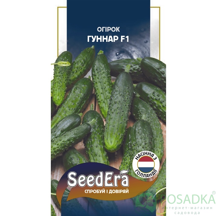 картинка Семена Огурец Гуннар F1  10 шт.Seedera 