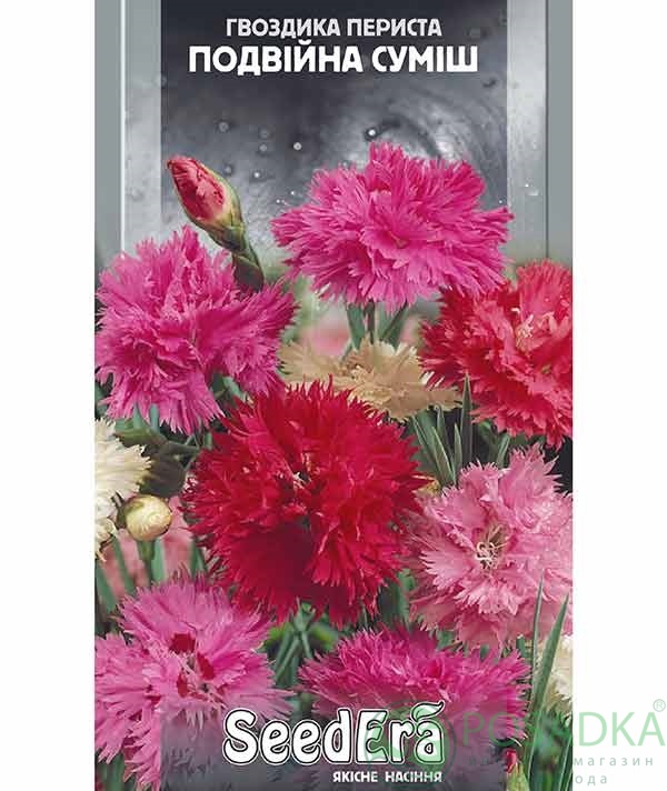 картинка Семена Гвоздика перистая двойная смесь многолетняя 0,2 г, Seedera картинка Семена Гвоздика перистая двойная смесь многолетняя 0,2 г, Seedera