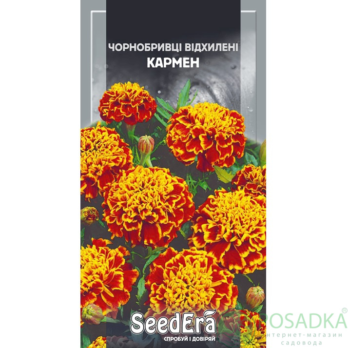 картинка Семена Бархатцы Низкорослые Отклоненные Кармен 0,5г, Seedera 