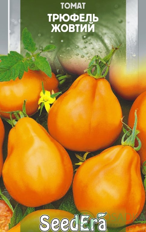 картинка Семена Томат Трюфель желтый 0.1гр, SeedEra 