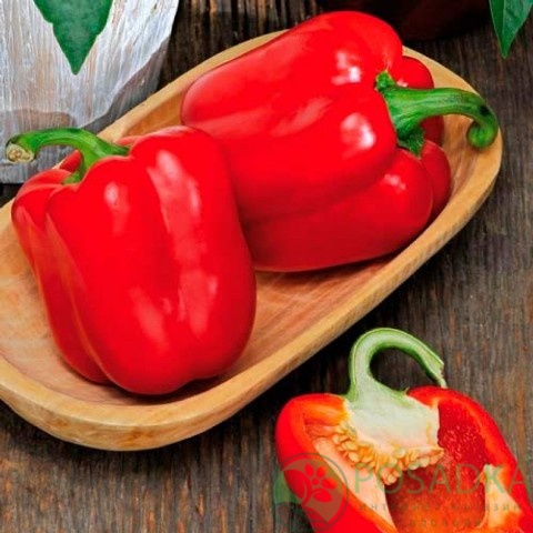 картинка Семена Перец Викинг 0.2 г, Seedera картинка Семена Перец Викинг 0.2 г, Seedera