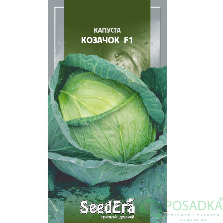 картинка Семена Капуста Белоголовая Козачок F1 0,25г, Seedera 