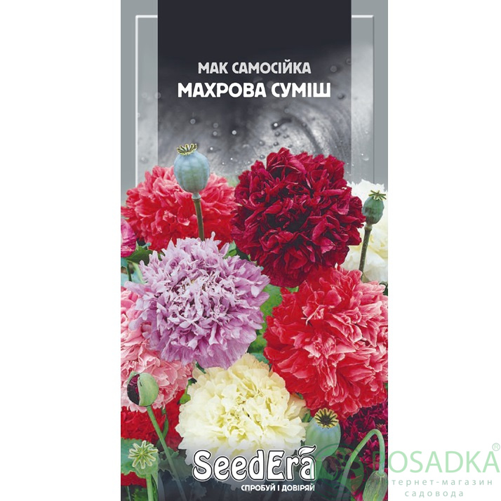 картинка Семена Мак Самосейка Махровая Смесь 0,2 г, Seedera 