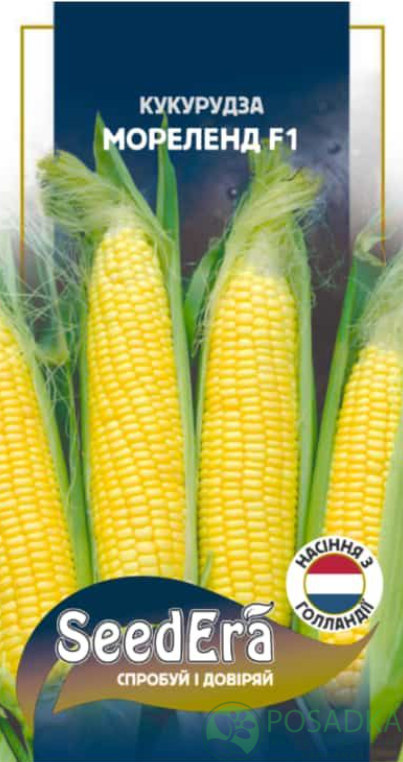 картинка Семена кукуруза Мореленд, 20 шт, SeedEra 