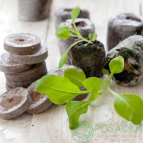 картинка Торфяные таблетки d 20 мм 