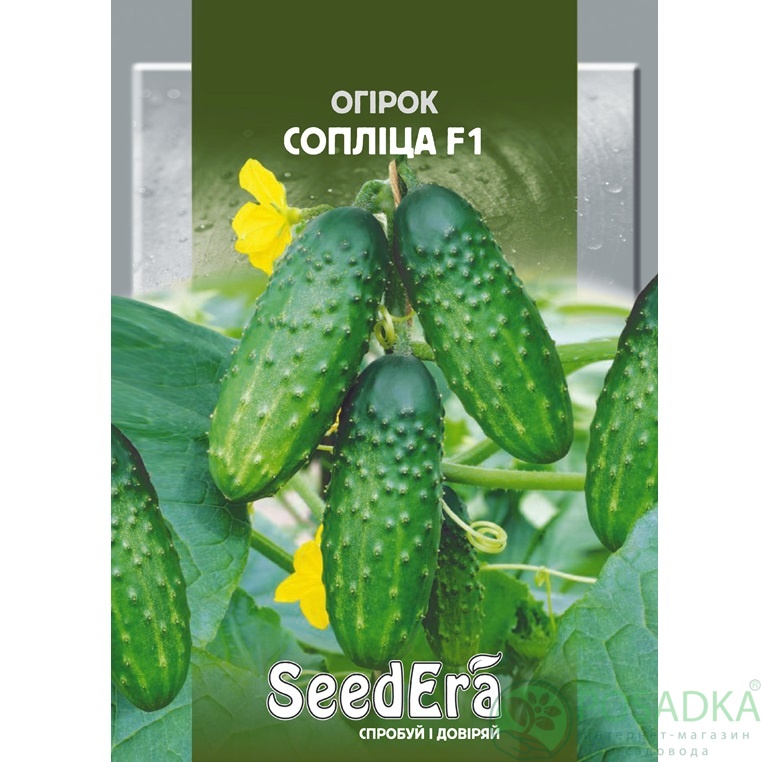 картинка Семена Огурец Соплица, 5 гр, SeedEra 