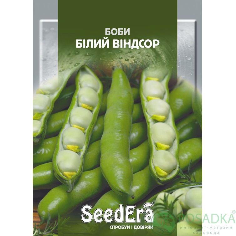 картинка Семена Бобы Белые Виндсор 10 шт, SeedEra 